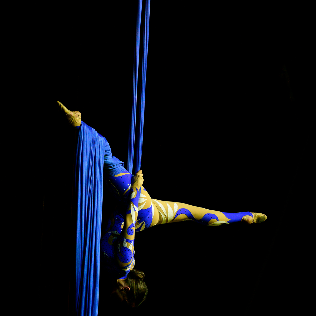 Fundraisers & Charity Events Fundraisers & Charity Events