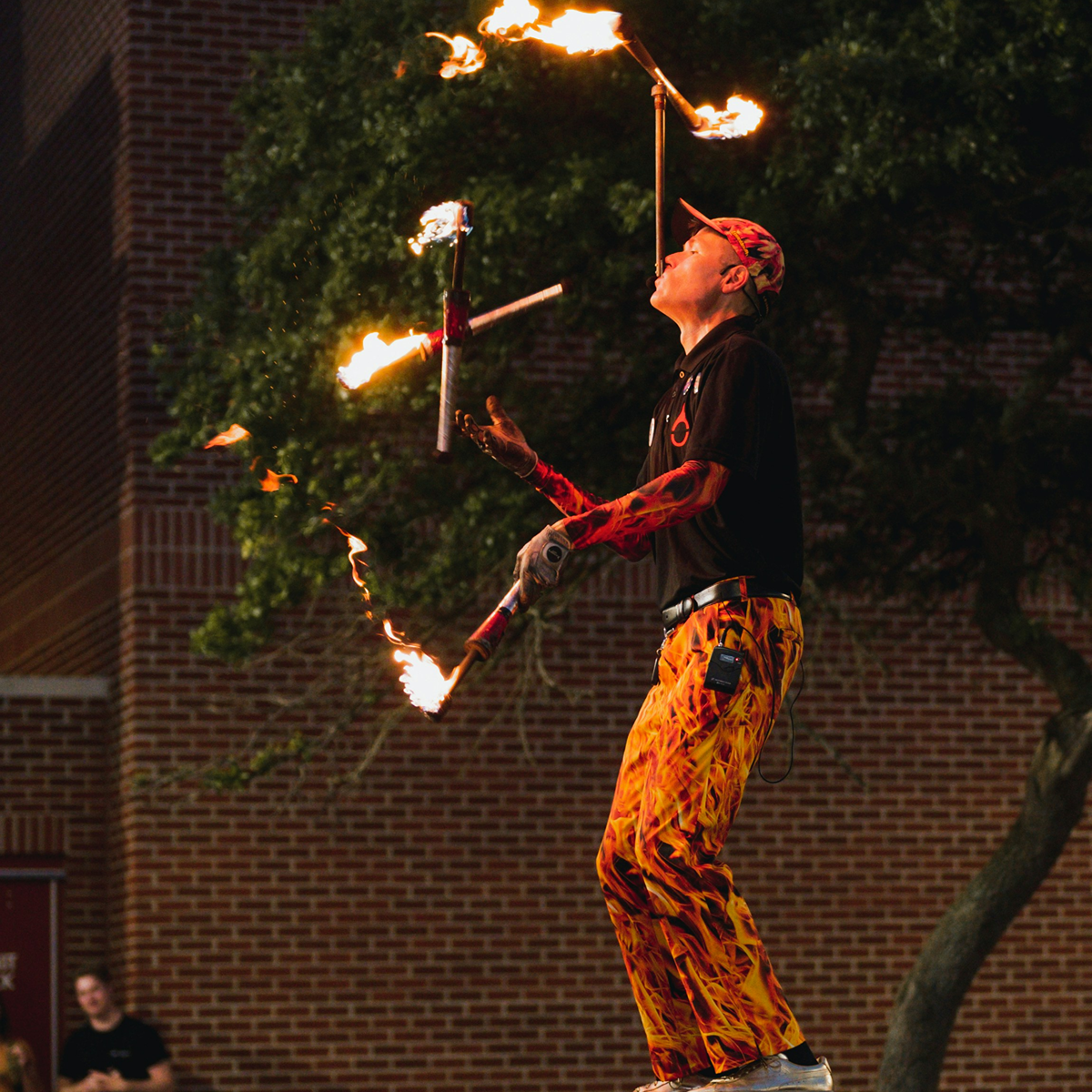 SWFL Circus Header Hero SWFL Circus Header Hero