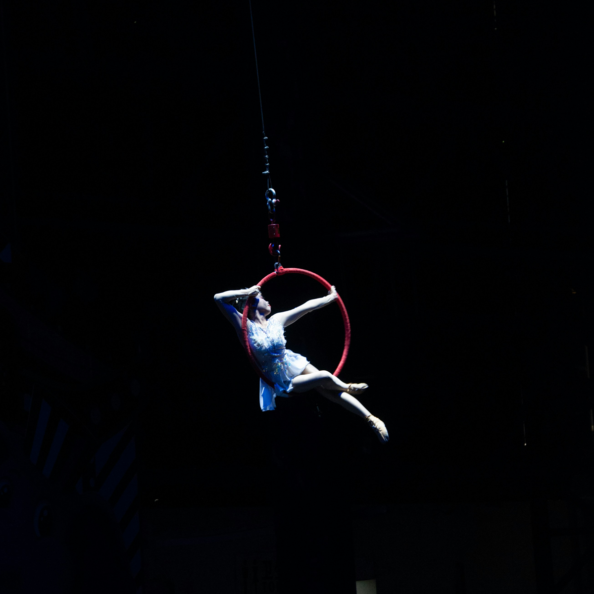 SWFL Circus Header Hero