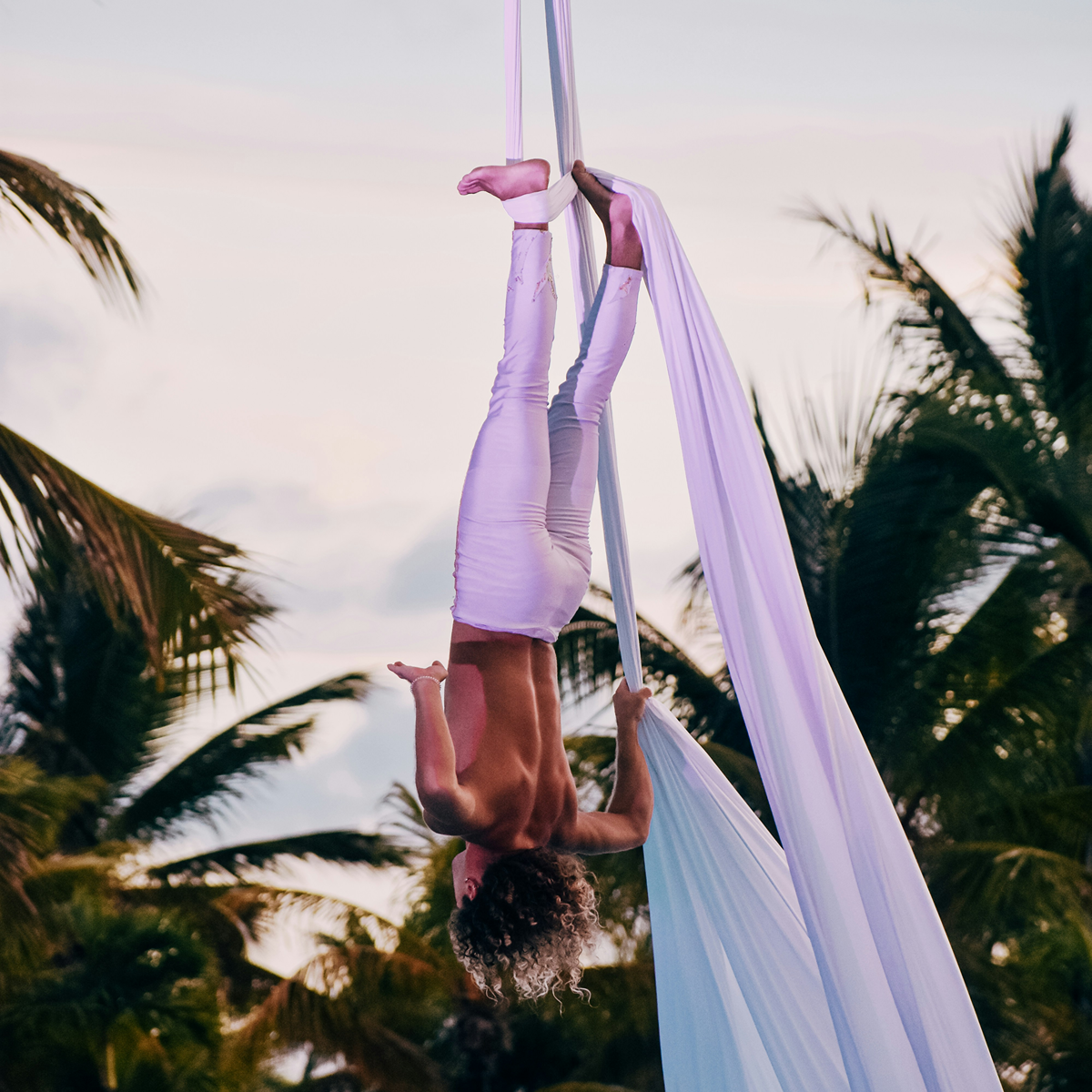 SWFL Circus Header Hero