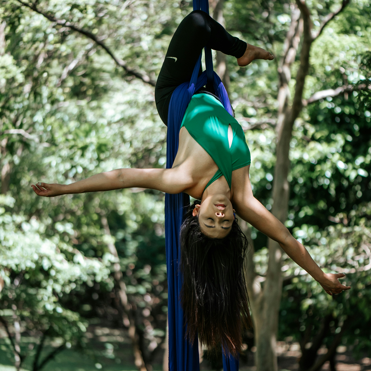 Holiday Party Aerialist Swfl Southwest Florida Events Holiday Party Aerialist Swfl Southwest Florida Events