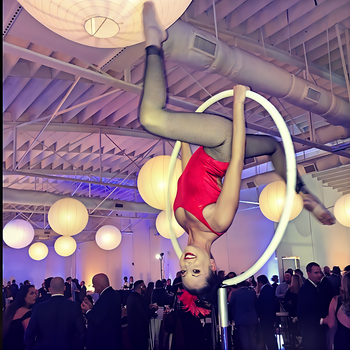 Aerial Silks Performer Swfl Southwest Florida Aerial Silks Performer Swfl Southwest Florida
