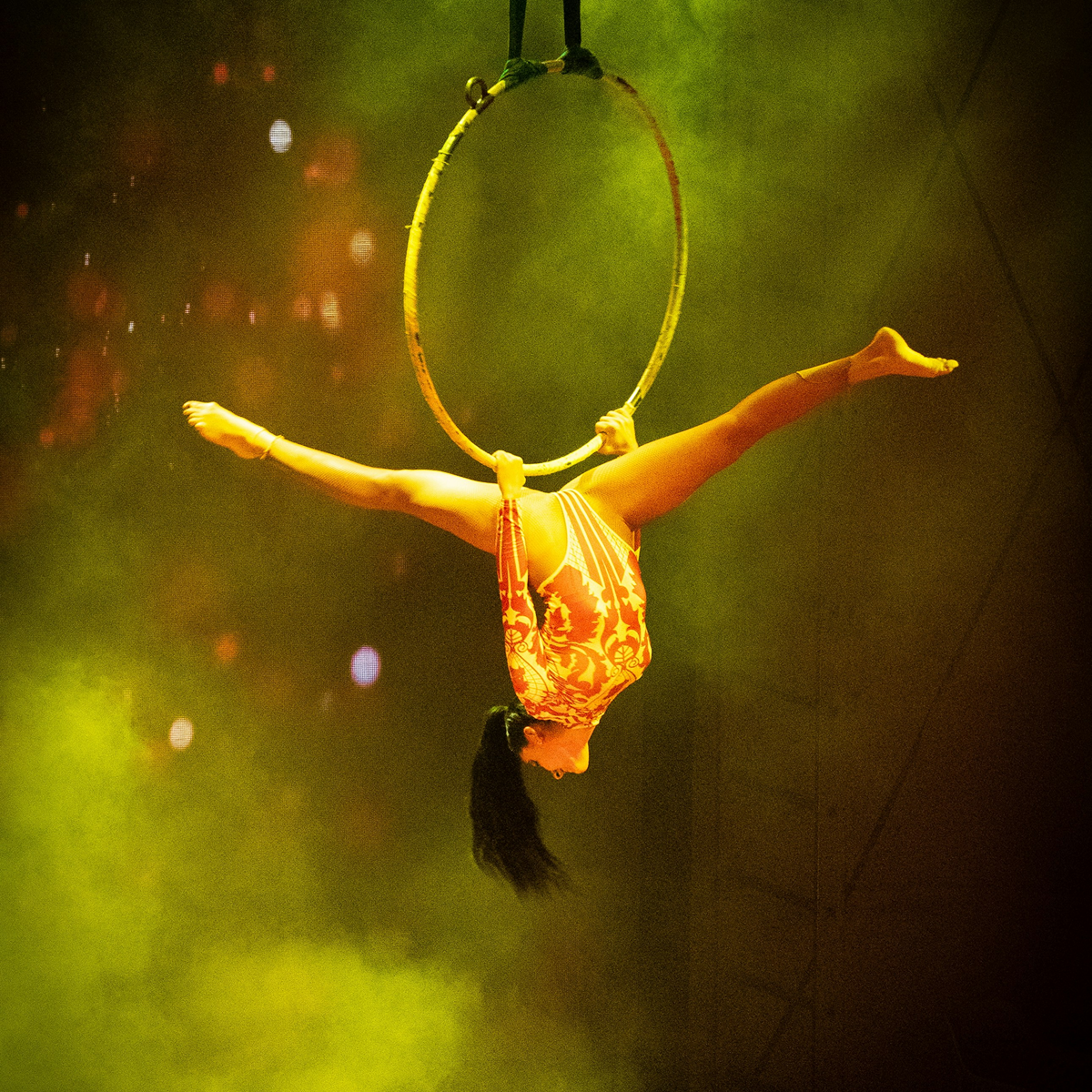 SWFL Circus Header Hero